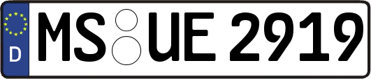 MS-UE2919