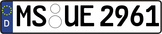 MS-UE2961