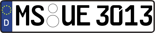 MS-UE3013