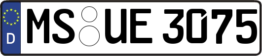 MS-UE3075