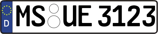 MS-UE3123