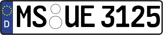 MS-UE3125