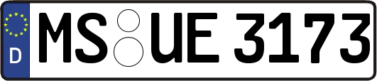 MS-UE3173