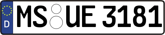 MS-UE3181