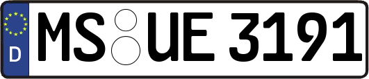 MS-UE3191