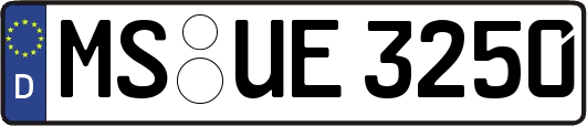MS-UE3250