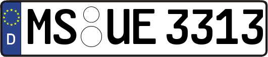 MS-UE3313
