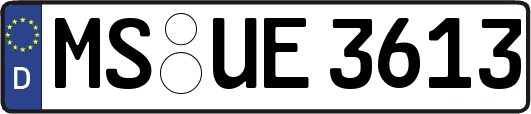 MS-UE3613