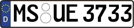 MS-UE3733