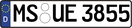 MS-UE3855