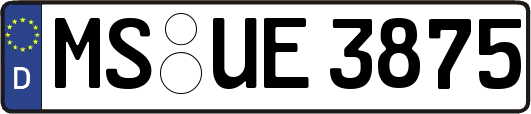 MS-UE3875