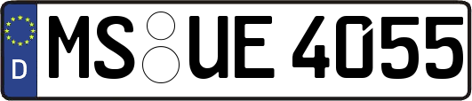 MS-UE4055