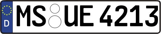 MS-UE4213