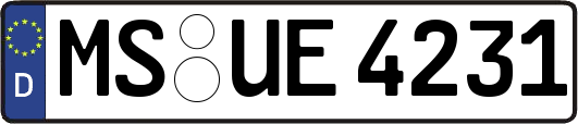 MS-UE4231