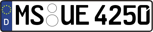MS-UE4250