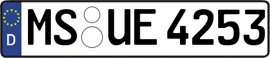 MS-UE4253