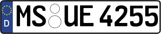 MS-UE4255