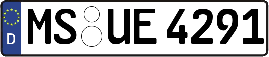 MS-UE4291