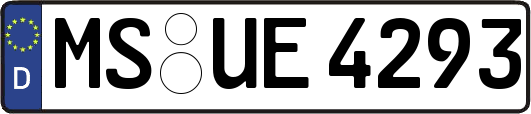 MS-UE4293
