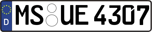 MS-UE4307