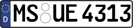 MS-UE4313