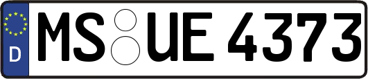 MS-UE4373