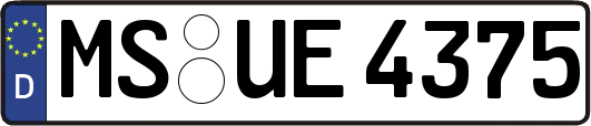 MS-UE4375
