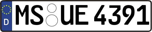 MS-UE4391