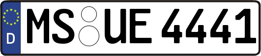MS-UE4441