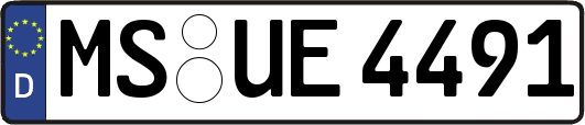 MS-UE4491