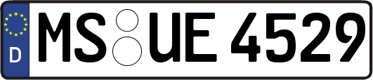 MS-UE4529