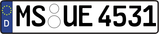MS-UE4531