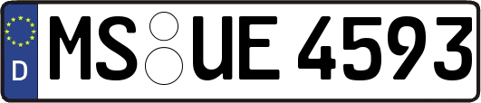 MS-UE4593
