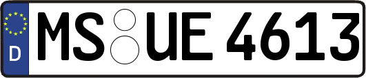 MS-UE4613