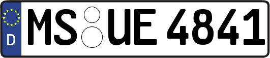 MS-UE4841