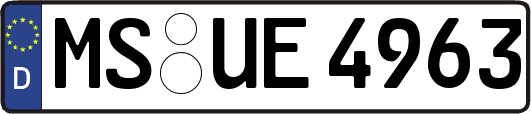 MS-UE4963