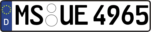 MS-UE4965
