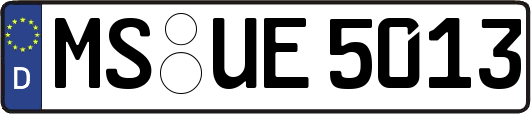 MS-UE5013