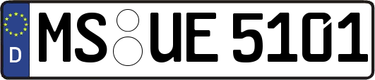 MS-UE5101