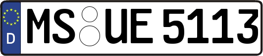 MS-UE5113