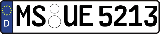 MS-UE5213