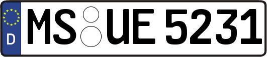 MS-UE5231