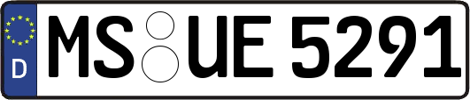 MS-UE5291