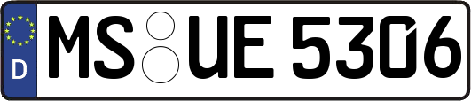 MS-UE5306