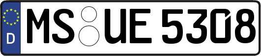 MS-UE5308
