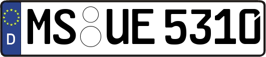 MS-UE5310