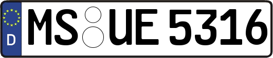 MS-UE5316