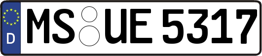 MS-UE5317