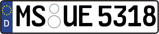 MS-UE5318