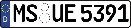 MS-UE5391